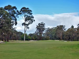 Metropolitan 10th Fairway